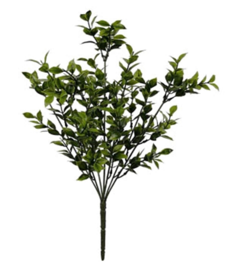 biscayne-bay-leaf-bush-timber-fieldstone